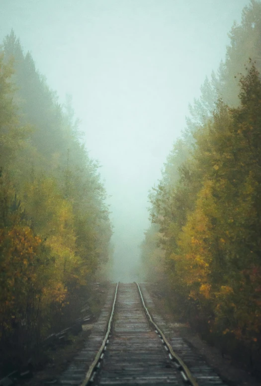a train track surrounded by trees on a foggy day, inspired by Elsa Bleda, beginning of autumn, maxim sukharev, photograph”