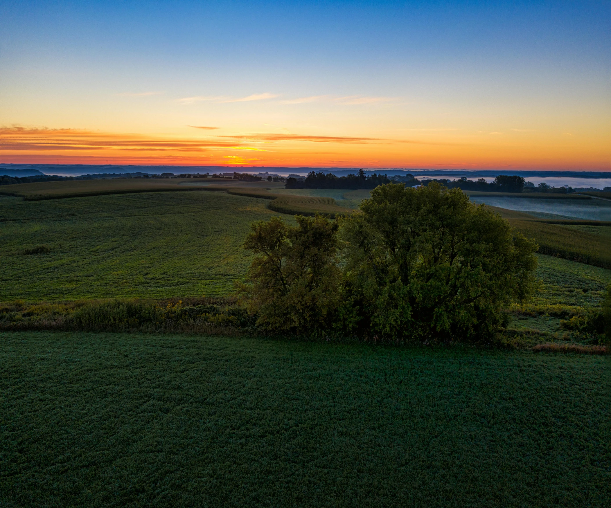 a tree sitting on top of a lush green field, by Sebastian Spreng, unsplash contest winner, land art, sunset view, midwest countryside, predawn, wide angle shot 4 k hdr