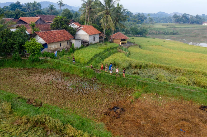 a group of people standing on top of a lush green field, sumatraism, mud and brick houses, landscape photo