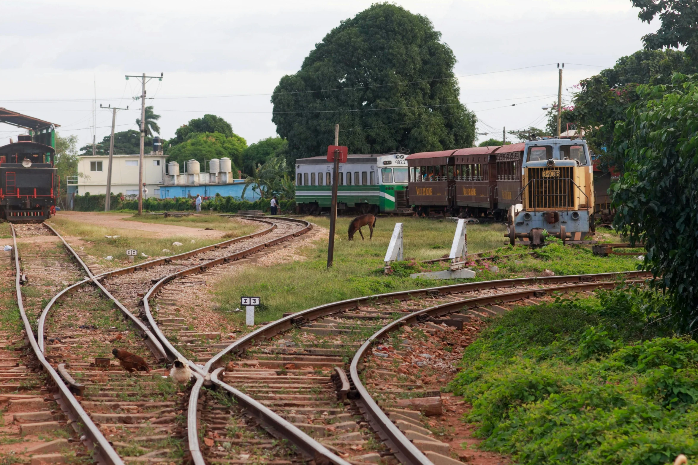 a couple of trains that are on some tracks, by Fernando Gerassi, unsplash, hurufiyya, madagascar, cuban setting, round-cropped, yard