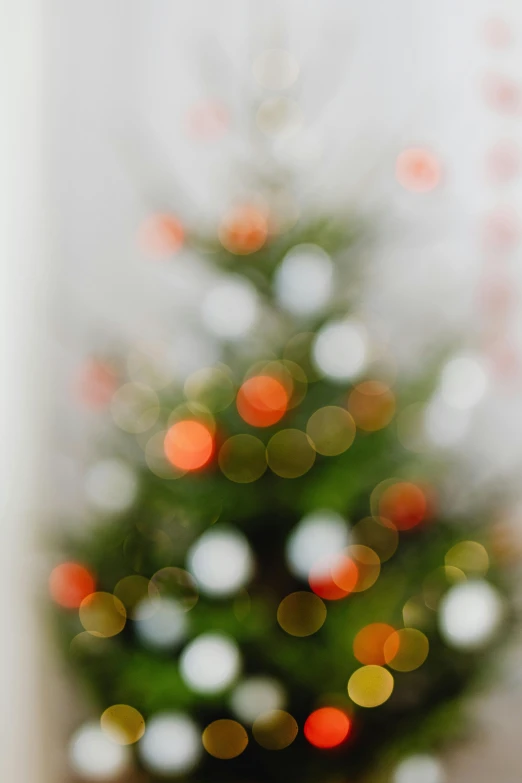 a blurry christmas tree with the focus on it