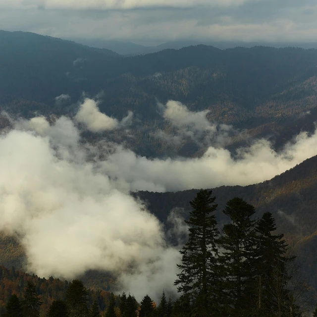 a view of some mountains and trees from the top