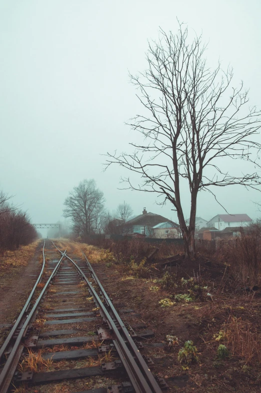 a train track next to a tree on a foggy day, an album cover, inspired by Elsa Bleda, romanticism, soviet town, low quality photo, cinematic shot ar 9:16 -n 6 -g, small village