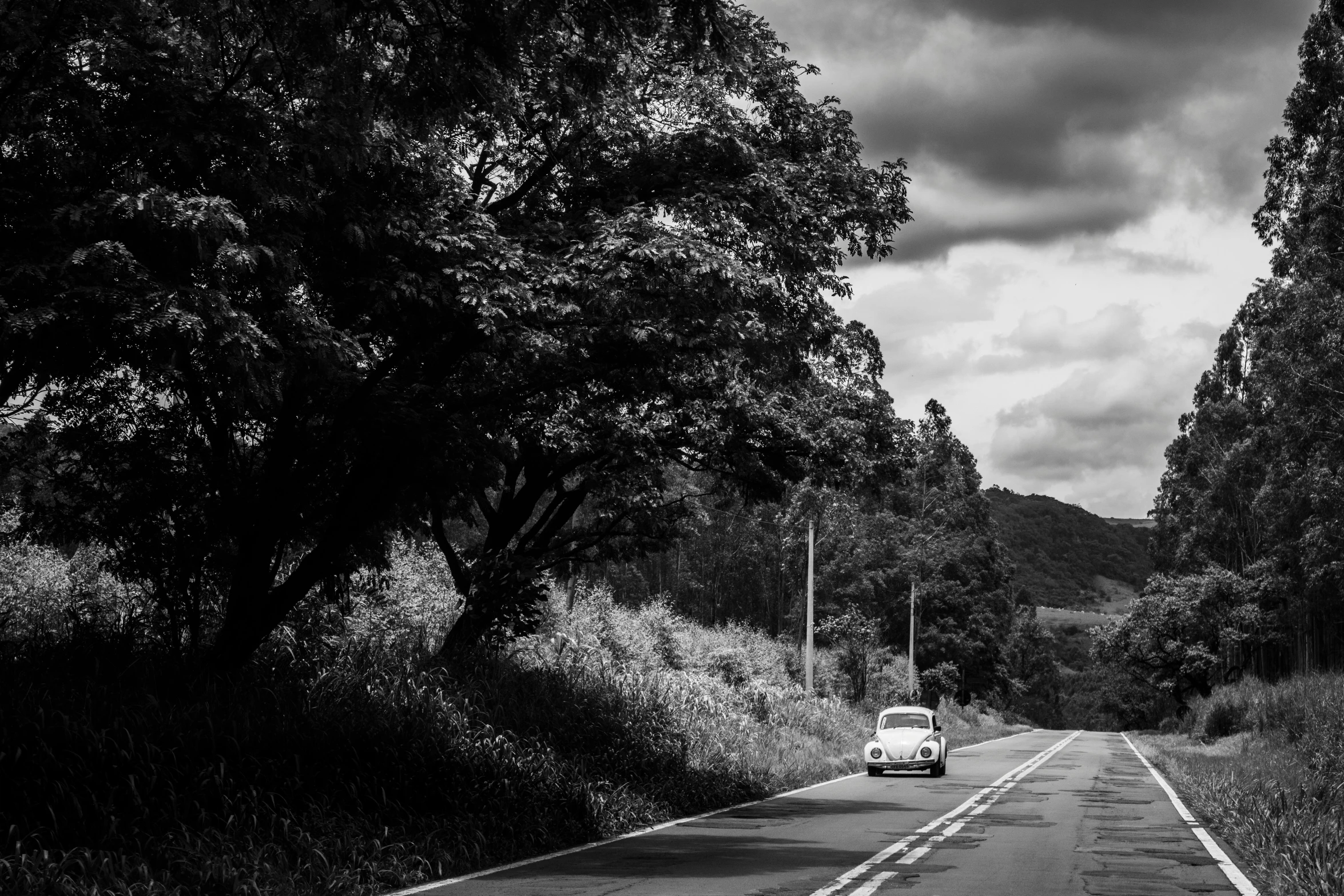 a car that is sitting on the side of a road, a black and white photo, by Fernando Gerassi, unsplash, japan rural travel, brazil, against the backdrop of trees, hasselblad photo