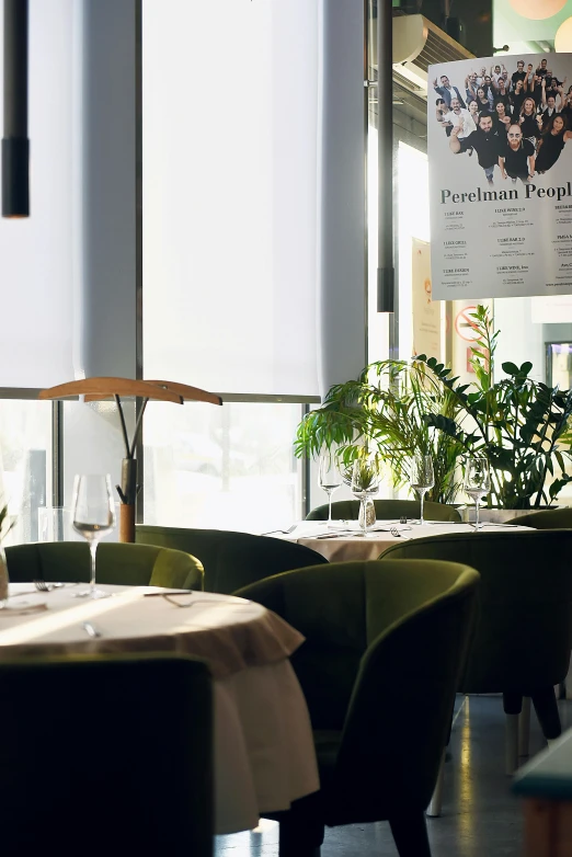 a dining room filled with lots of tables and chairs, by Jesper Knudsen, purism, soft green natural light, gourmet michelin restaurant, greenery, panorama