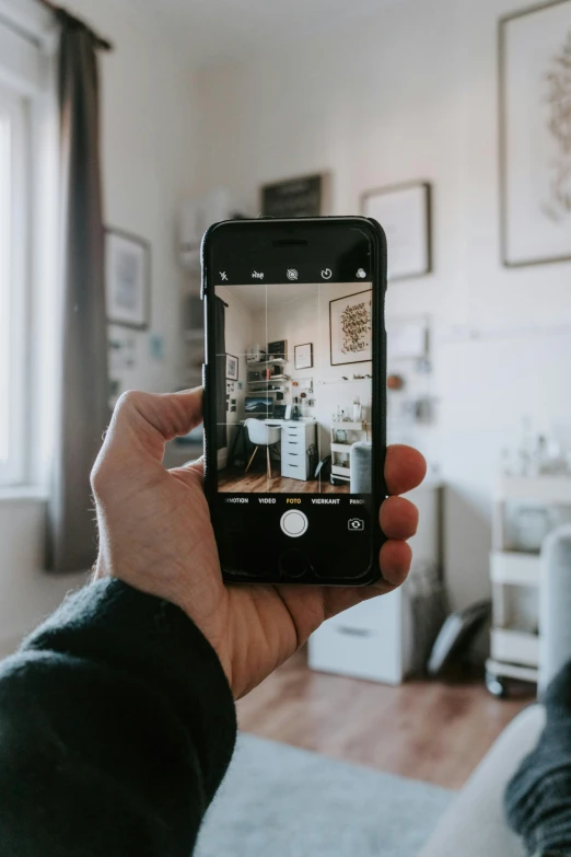 a person taking a picture of a living room, a picture, holding it out to the camera, mount, unsplash transparent, built on a small