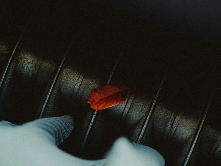 a red leaf sitting on the seat of a car, an album cover, inspired by Elsa Bleda, pexels contest winner, bauhaus, slick tires, black leather, close-up portrait film still, soft vinyl