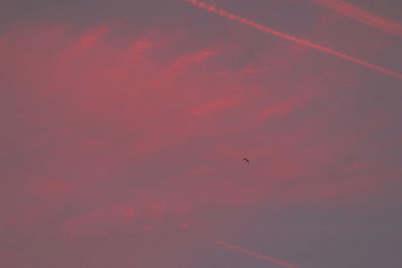 a plane that is flying in the sky, by Attila Meszlenyi, pink sunset hue, red bird, img _ 9 7 5. raw, dayglo pink