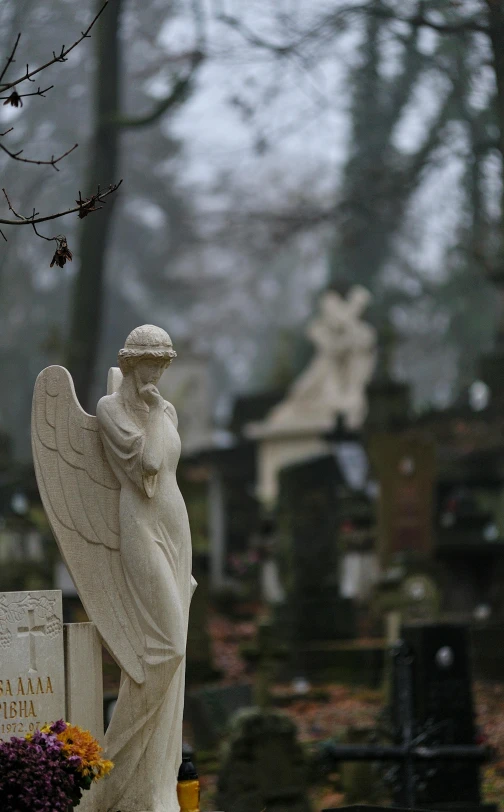 a statue of an angel in a cemetery, by Attila Meszlenyi, a wide shot, photographed for reuters, dreary atmosphere, walking to the right