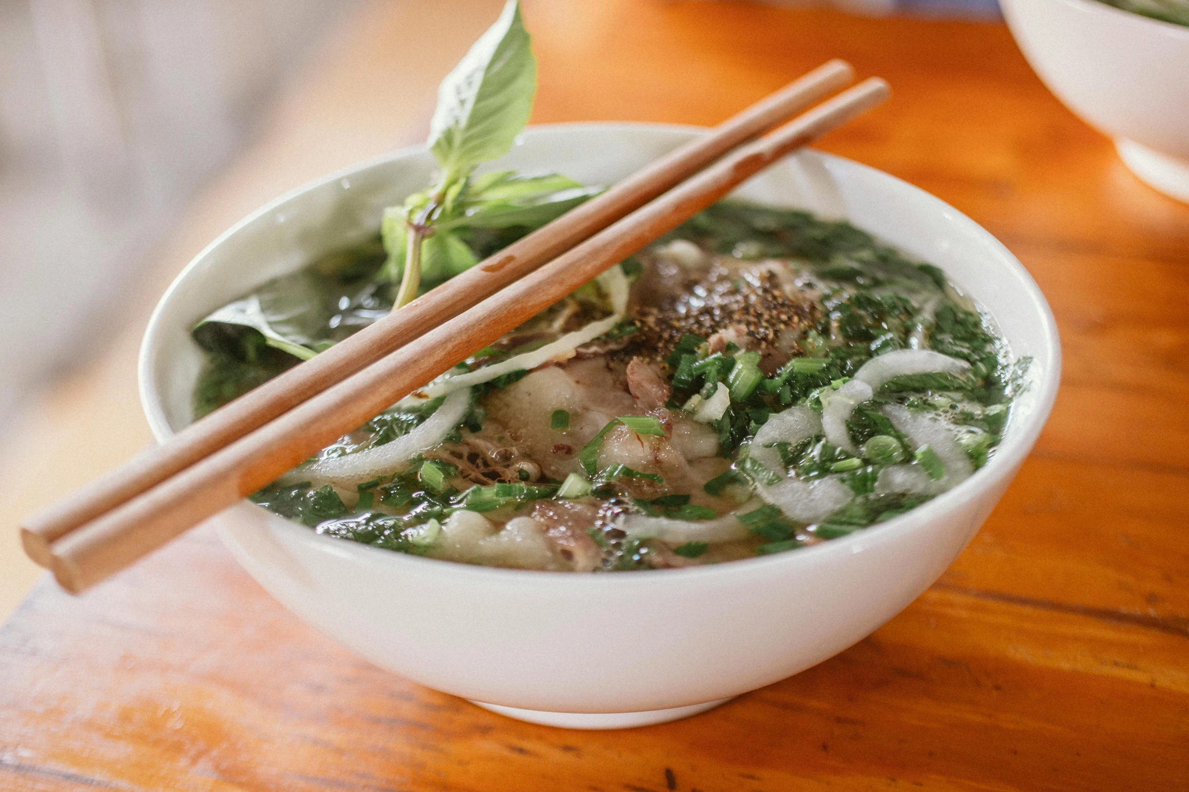 a close up of a bowl of food with chopsticks, inspired by Tan Ting-pho, hurufiyya, city views, gray, square, lush green