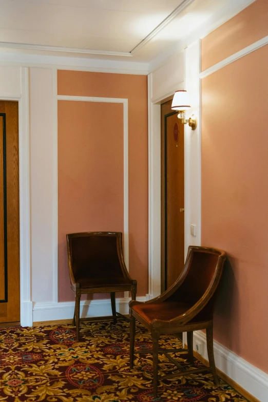 two brown chairs in a room with some kind of carpet