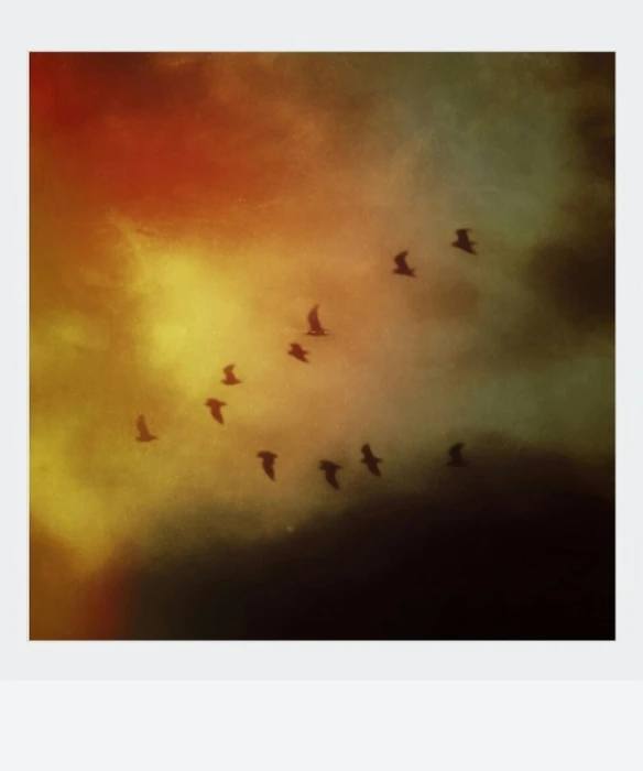 a flock of birds flying through a cloudy sky, an album cover, inspired by Elsa Bleda, maurice sapiro, medium format, van, iphone picture