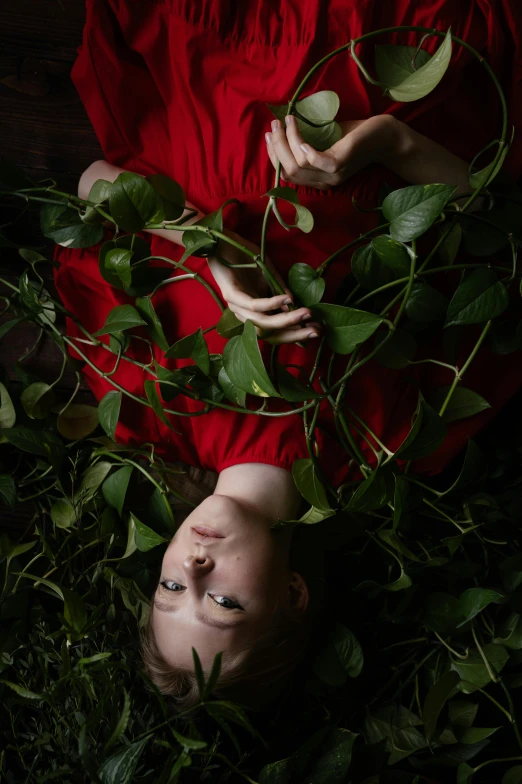 a woman in a red dress laying in the grass, a portrait, inspired by Brooke Shaden, pexels contest winner, renaissance, green vines, in a liminal underground garden, top down shot, pale skin