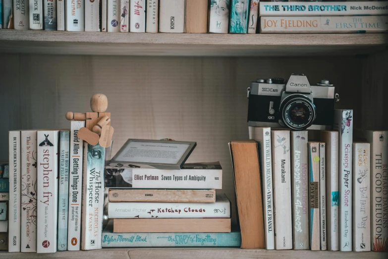 a bunch of books that are on a shelf, a picture, pexels contest winner, camera photo, posing for camera, ilustration, maintenance photo