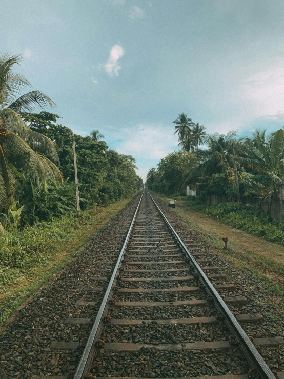 a train track surrounded by palm trees on a sunny day, inspired by Steve McCurry, unsplash contest winner, hyperrealism, panorama view, sri lanka, low quality photo, 🦑 design