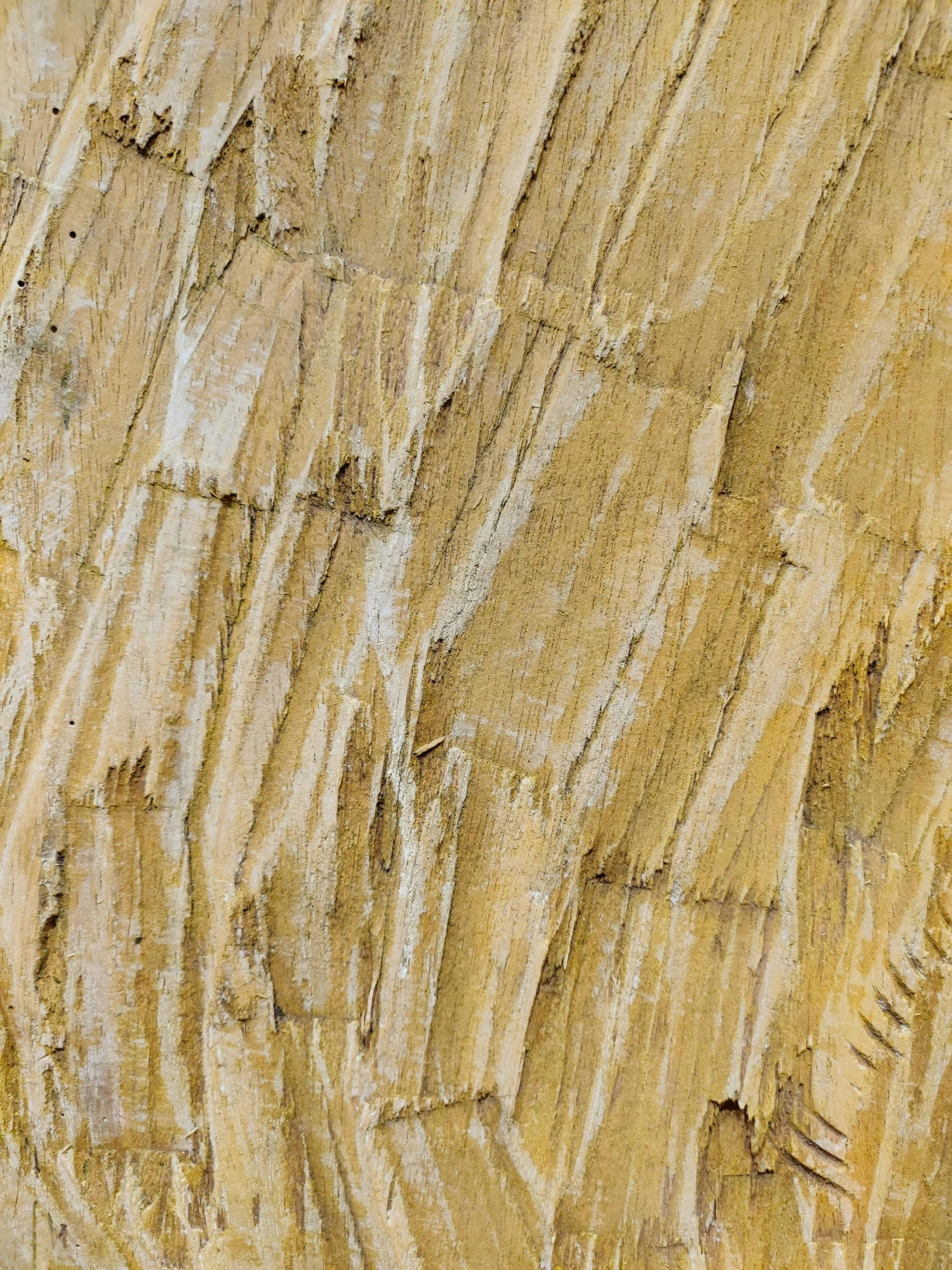 a man riding a surfboard on top of a sandy beach, an ultrafine detailed painting, by William Congdon, pexels, lyrical abstraction, tree bark texture, ochre, detail texture, shiny layered geological strata