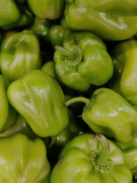 a pile of green peppers sitting on top of each other, pexels, 2 5 6 x 2 5 6 pixels, rectangle, chilean, high quality photo