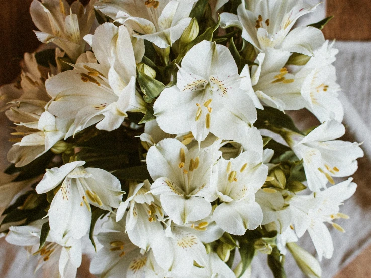 a bouquet of white flowers sitting on top of a table, by Carey Morris, trending on unsplash, art nouveau, lily flowers, fragrant plants, gold flaked flowers, slightly tanned