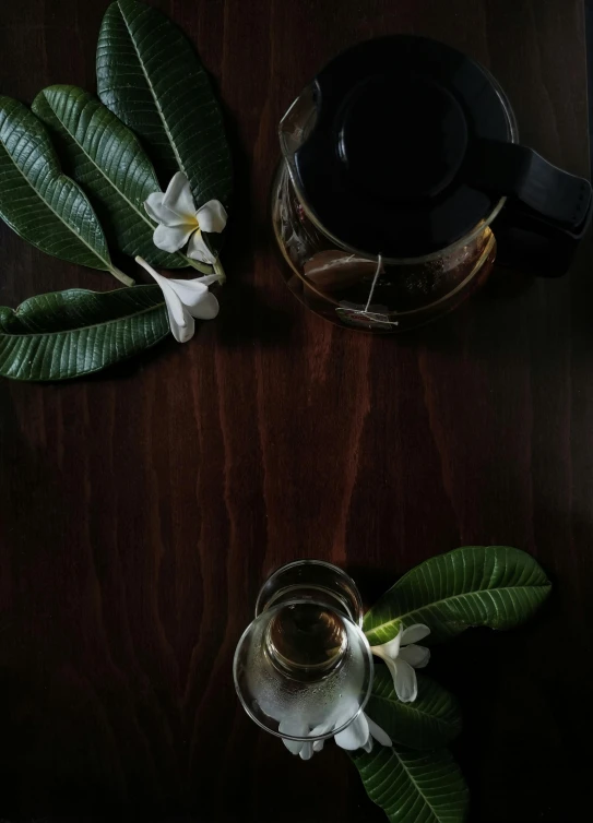 a tea pot sitting on top of a wooden table, a still life, trending on unsplash, hurufiyya, plumeria, high quality photo, dark green leaves, full frame image