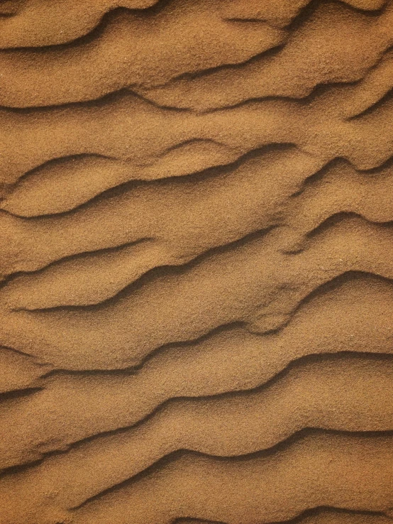 a close up of sand in the desert, inspired by Andreas Gursky, unsplash, op art, light brown, anton semenov, panel, grain”