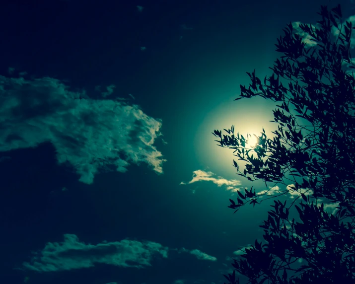 a full moon shines brightly in the night sky, an album cover, inspired by Elsa Bleda, unsplash, romanticism, afternoon sunlight, monochrome, summer sky, midnight blue