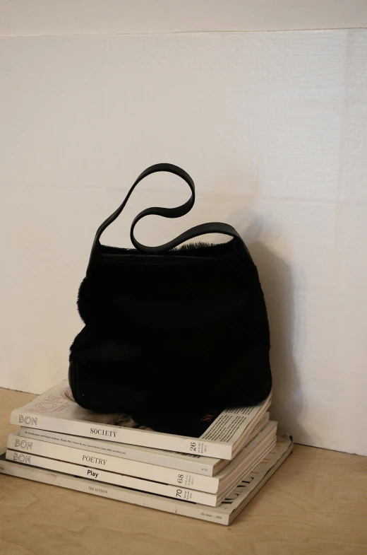 a black purse sitting on top of a stack of books, an album cover, by Nina Hamnett, reddit, soft fur, side view profile centered, bag, soft curvy shape