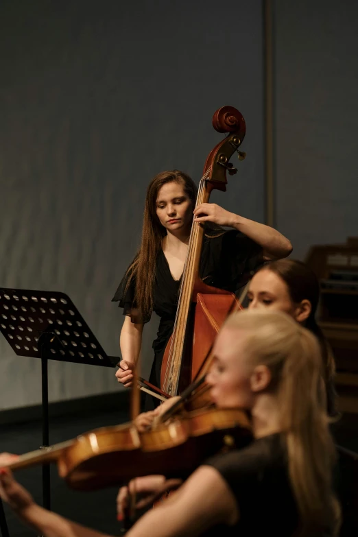 a group of women playing musical instruments in a room, double bass, profile image, lachlan bailey, orchestra