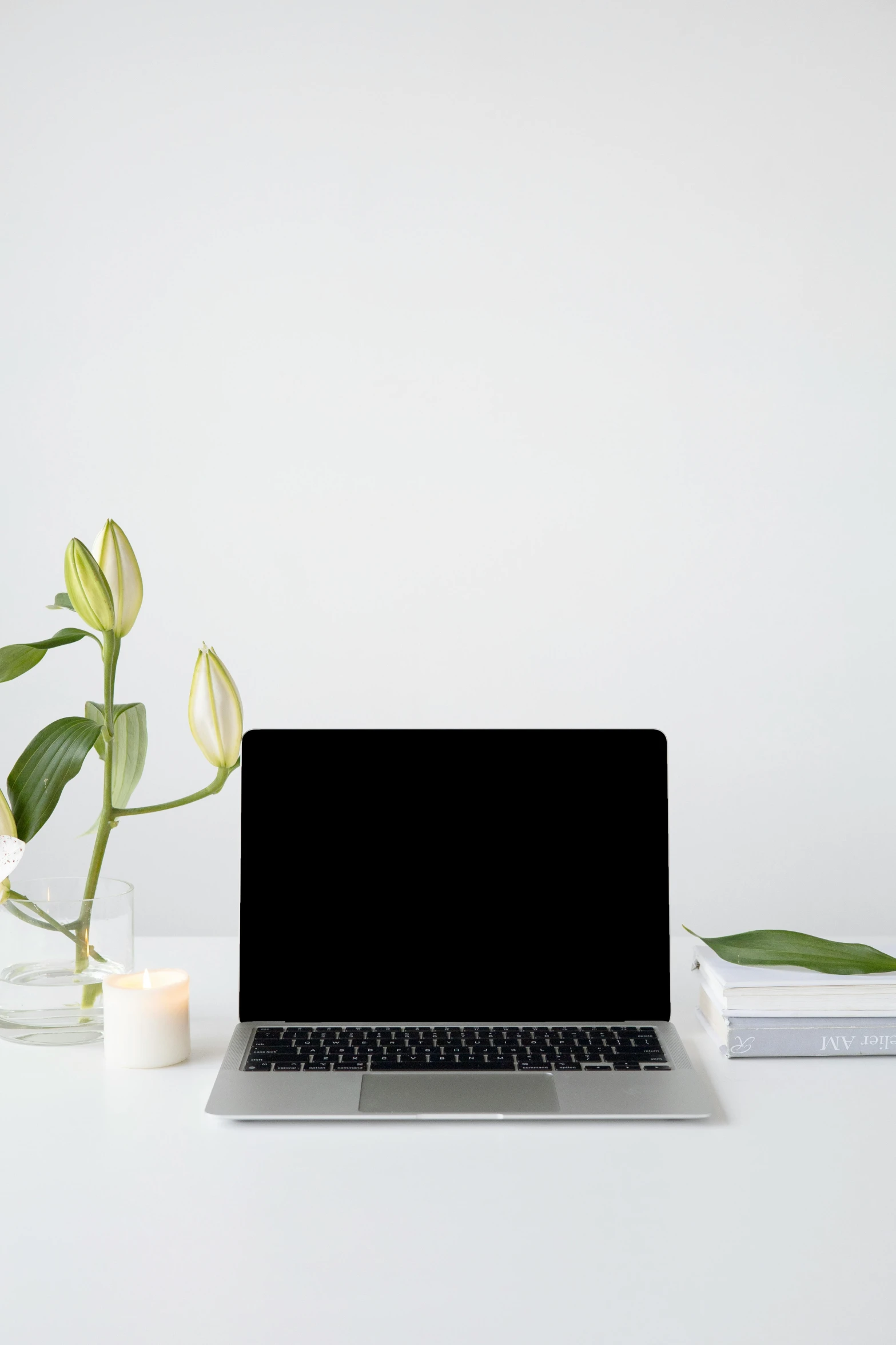 a laptop computer sitting on top of a white desk, by Carey Morris, white candles, next to a plant, plain background, product image