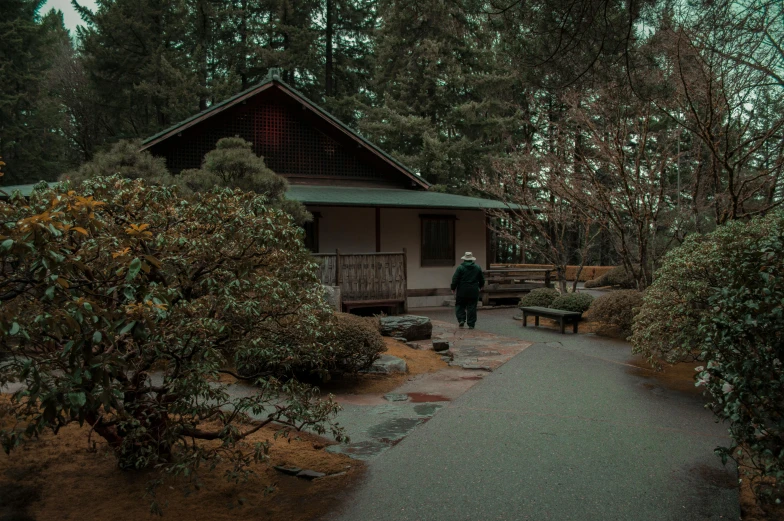 a man standing in front of a forest filled with lots of trees