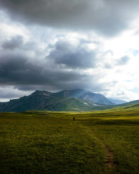 lone tree on an open green field with mountains in the background