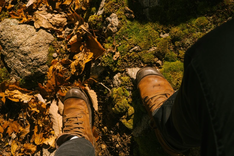 a person standing on top of a pile of leaves, brown boots, as seen from the canopy, geology, promo image