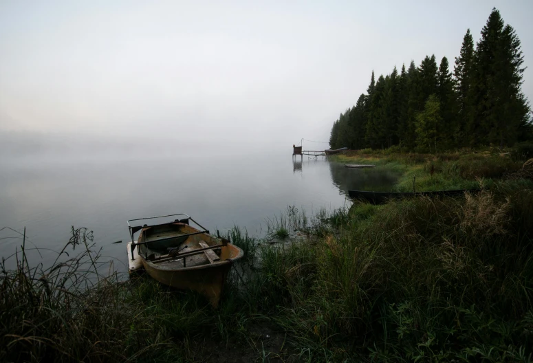 a boat sitting on top of a lake next to a forest, by Attila Meszlenyi, under a gray foggy sky, cottagecore, full frame image