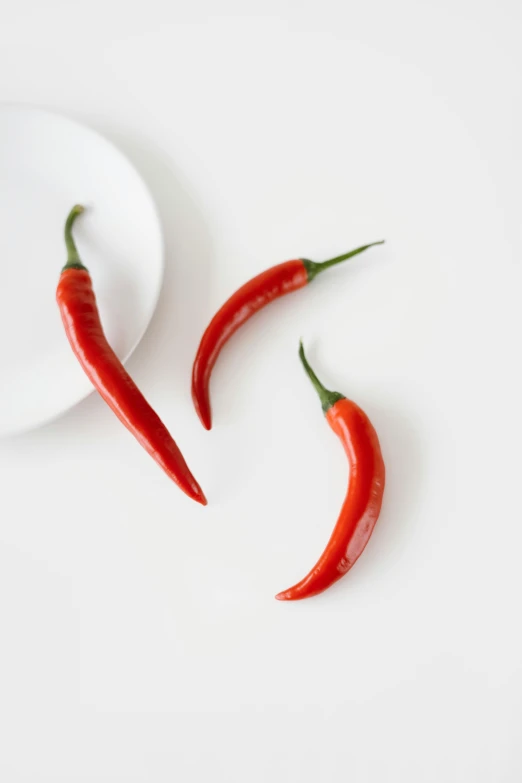 two chili peppers sitting on top of a white plate, inspired by Li Di, trending on pexels, tall thin, ignant, sickle, pot