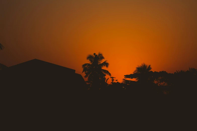 the sun is setting behind some palm trees, pexels contest winner, minimalism, dark orange night sky, moonlit kerala village, gradient orange, ad image