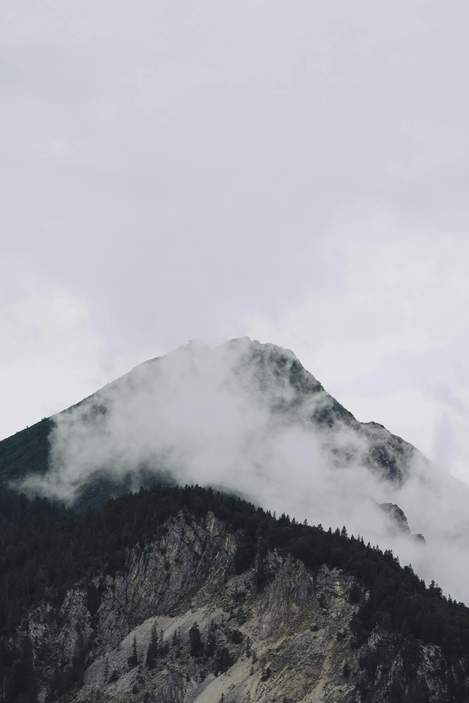 a mountain with some low clouds and a forest in the foreground