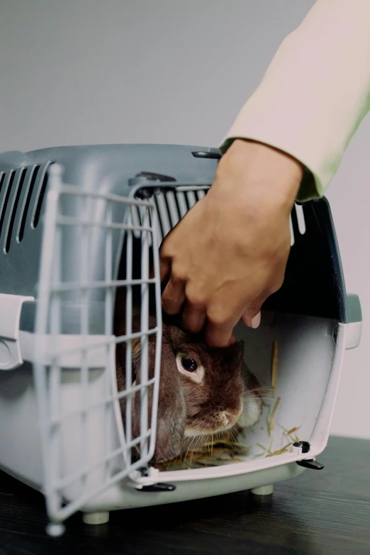 a person opening the door of a dog's cage