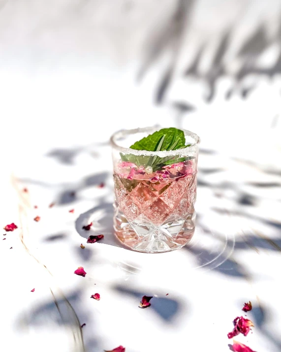 a close up of a drink in a glass on a table, pink petals fly, profile image, gardening, displayed