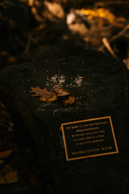 a close up of a stone with a plaque on it, unsplash, flaming leaves, in dark robes with gold accents, high quality photo, tourist photo