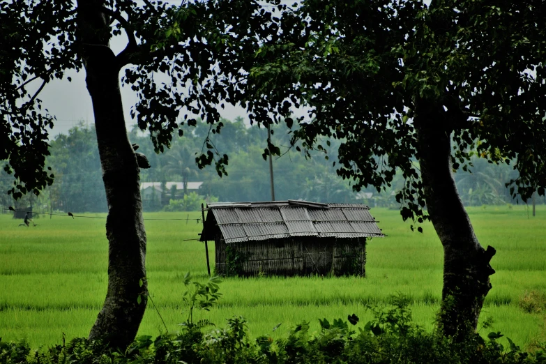 a barn sitting in the middle of a lush green field, by Sudip Roy, hurufiyya, fan favorite, assamese, witch hut, a quaint