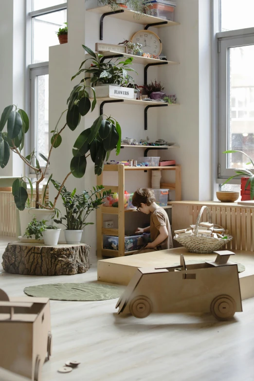 a person sitting in a room with two planters, a box car and a tree