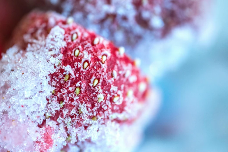 a close up of a strawberry covered in sugar, a macro photograph, unsplash, hurufiyya, colorful coral, thc