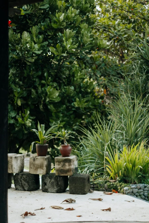 a red fire hydrant sitting in the middle of a garden, by Elizabeth Durack, unsplash, visual art, flowering pineapples and orchids, green terrace, sculpture made of piled stones, assam tea garden setting