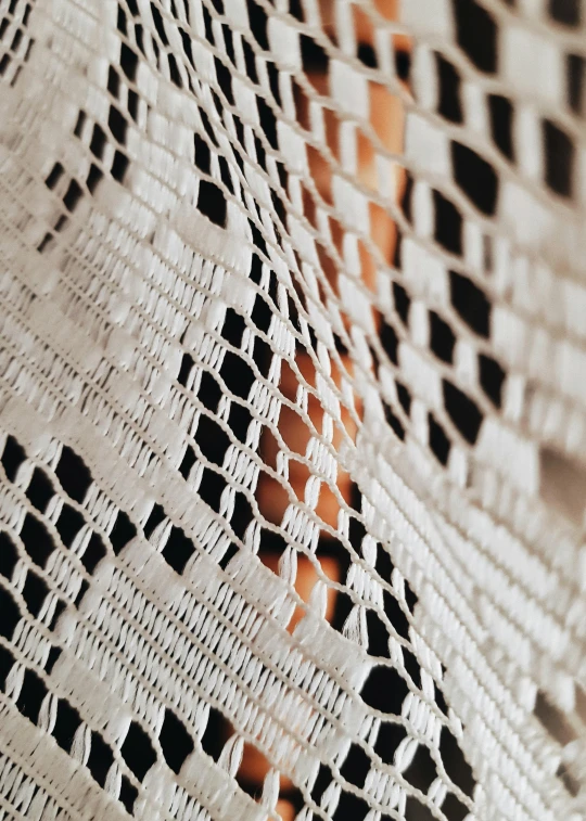 a close up of a white crocheted table cloth, an album cover, inspired by Elsa Bleda, trending on unsplash, visual art, patterned clothing, snake skin, alessio albi, weaving