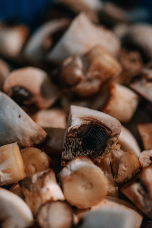 a pile of mushrooms sitting on top of a table, a macro photograph, trending on pexels, brown holes, ✨🕌🌙, tooth wu : : quixel megascans, cuts