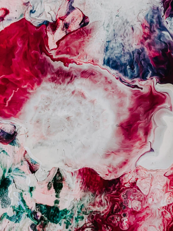 a close up of a red and white painting, inspired by Shōzō Shimamoto, trending on unsplash, vibrant bismuth material, space photo, vortex of plum petals, satelite imagery