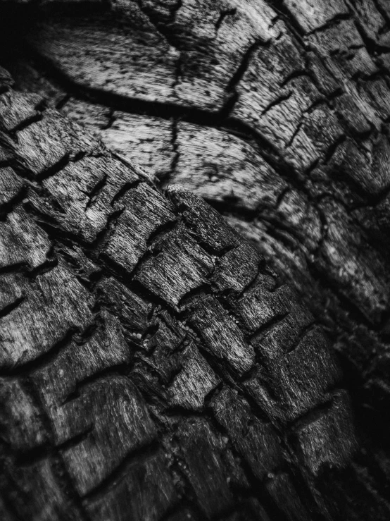 a black and white photo of a tree trunk, a macro photograph, by Adam Marczyński, auto-destructive art, made of tar, cinematic style photograph, (fire), reptile skin