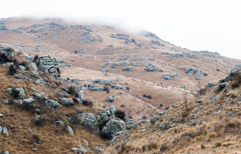 hills covered in thicket with a single person climbing on them