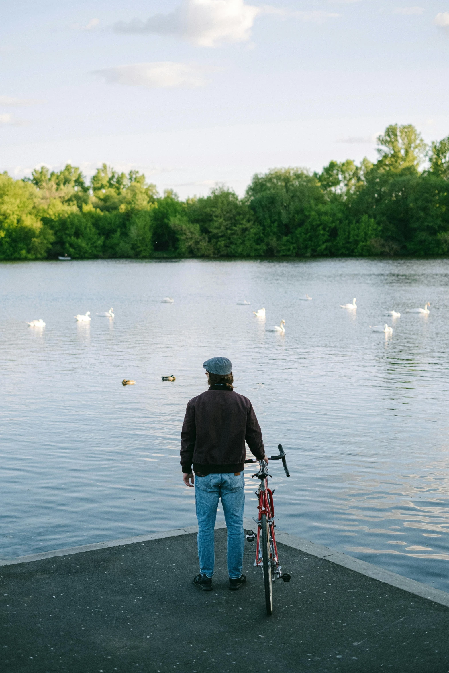 man looking at birds standing in front of his bike