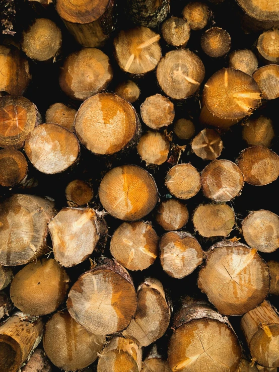 a bunch of logs stacked on top of each other, an album cover, by Jesper Knudsen, unsplash, full frame image, multiple stories, close-up photo, thumbnail