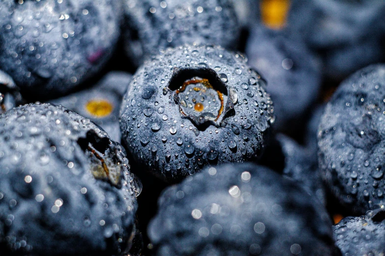 a close up of a bunch of blueberries with water droplets, a portrait, by Adam Marczyński, unsplash, grain”